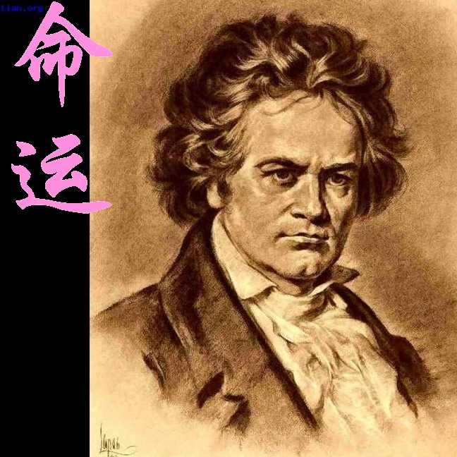 第五号交响曲　命运