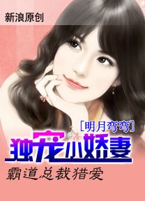 霸道总裁猎爱：独宠小娇妻