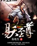 易天至尊