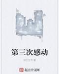 第三次感动
