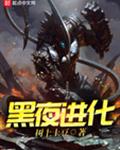黑夜进化
