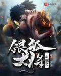 海贼之银狐大将